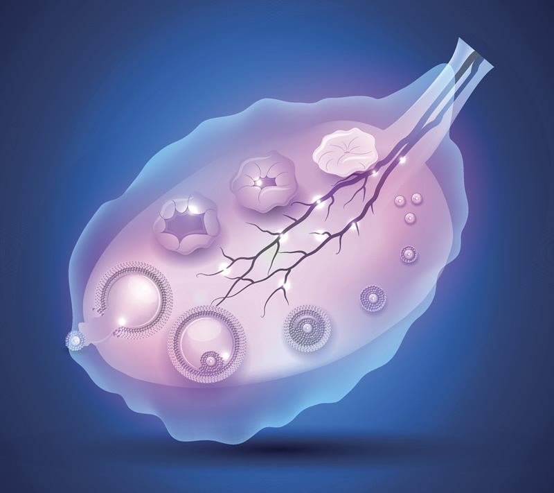 金山医院试管婴儿技术解析：、费用明细与本地口碑医生推荐，附2026年上海辅助生殖医院对比指南